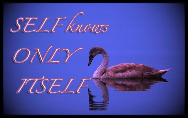Only SELF